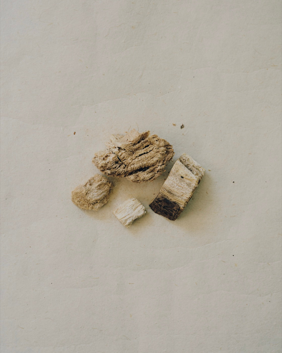 Dried kudzu root pieces photographed on textured paper